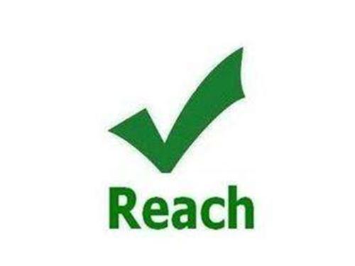 一文详解活性炭REACH检测